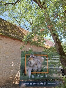 FORET des SINGES, 20260721_144108