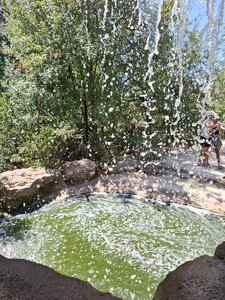 FORET des SINGES, 20260721_140844