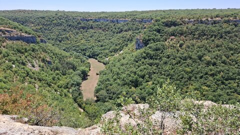 FORET des SINGES, 20260721_135934