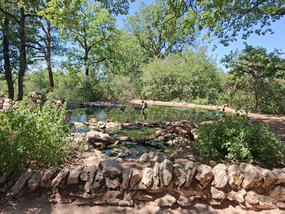 FORET des SINGES, 20260721_125731
