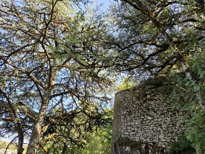 Rocamadour, 20260721_165810