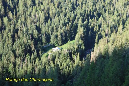 Lac du distroit, IMG_2462