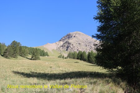 Lac du distroit, IMG_2464
