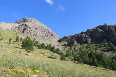 Lac du distroit, IMG_2467