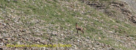 Lac du distroit, IMG_2469