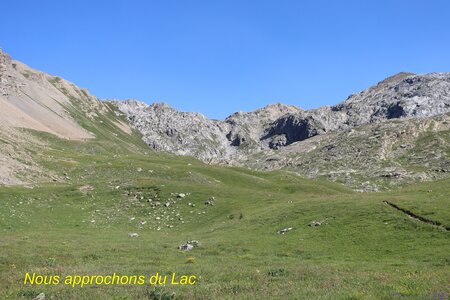 Lac du distroit, IMG_2474