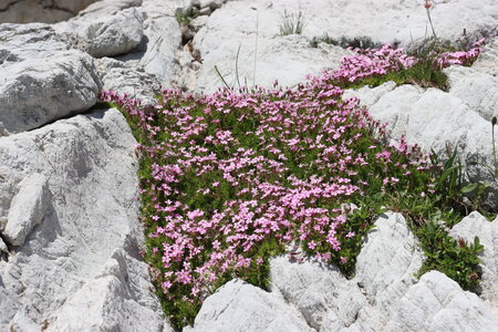 Lac du distroit, IMG_2489