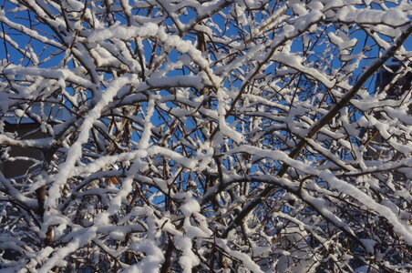 Stockholm neige et soleil, IMGP1896