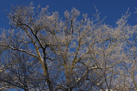 Stockholm neige et soleil, IMGP1901
