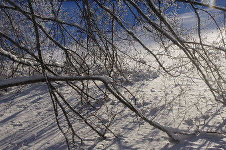 Stockholm neige et soleil, IMGP1904