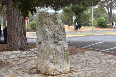 TRANSES CEVENOLES 2026, DSC_1137