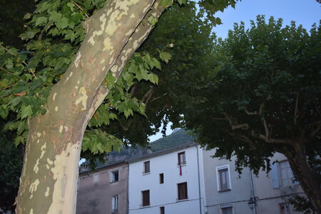 TRANSES CEVENOLES 2026, DSC_1154