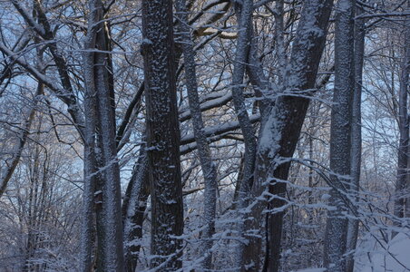 Stockholm neige et soleil, IMGP1912