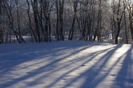 Stockholm neige et soleil, IMGP1913