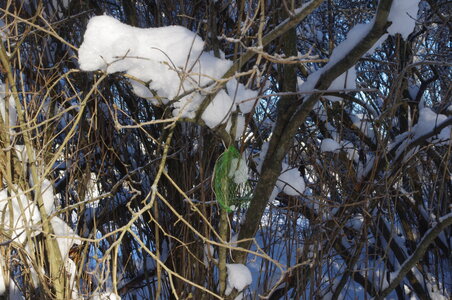 Stockholm neige et soleil, IMGP1915