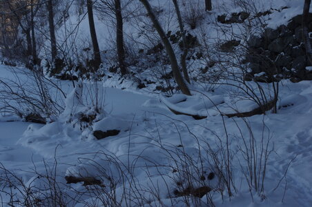 Stockholm neige et soleil, IMGP1921