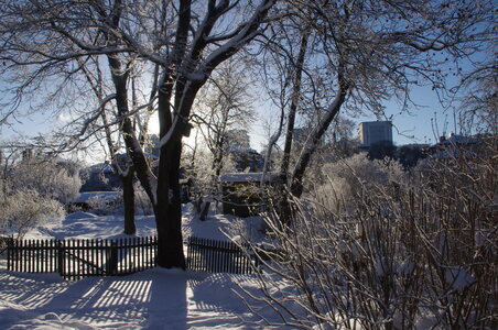 Stockholm neige et soleil, IMGP1923