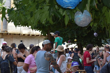 TRANSES CEVENOLES 2026, DSC_1388