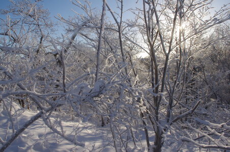 Stockholm neige et soleil, IMGP1938
