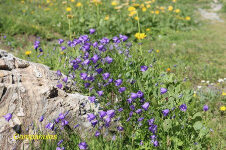 Col de Bouchet et Malaure, IMG_2528