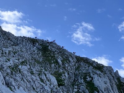 Picos de Europa JMH, IMG_0567