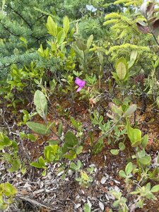 ALBUMFEUF, IMG_4887