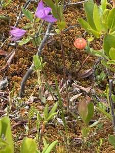 ALBUMFEUF, IMG_4888