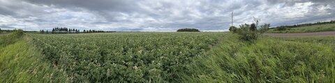 ALBUMFEUF, IMG_4911