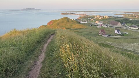 ALBUMFEUF, IMG_4995
