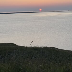 ALBUMFEUF, IMG_5005