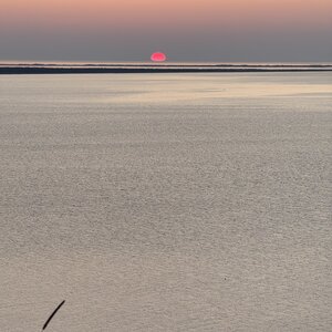 ALBUMFEUF, IMG_5008