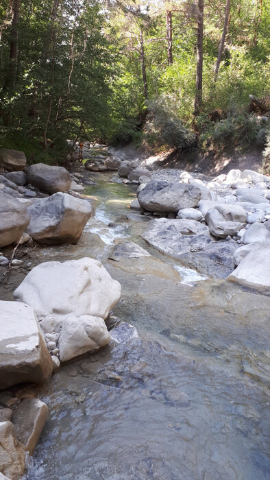Le torrent d'Ancelle