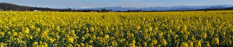 Panoramiques, B&eacute;arn M&eacute;ritein flou