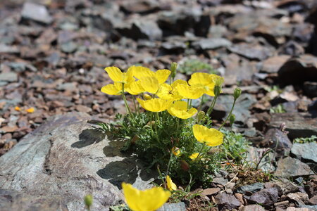 Petit et Grand Taillefer, IMG_2644