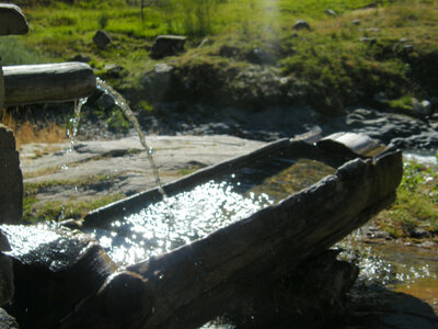 Prapic 2026, Abreuvoir