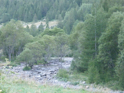 Prapic 2026, 02-Le Drac-2- tranquille vers 1700 m.