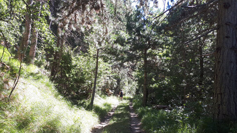 Blog2 -été 2026, Frustel-sentier