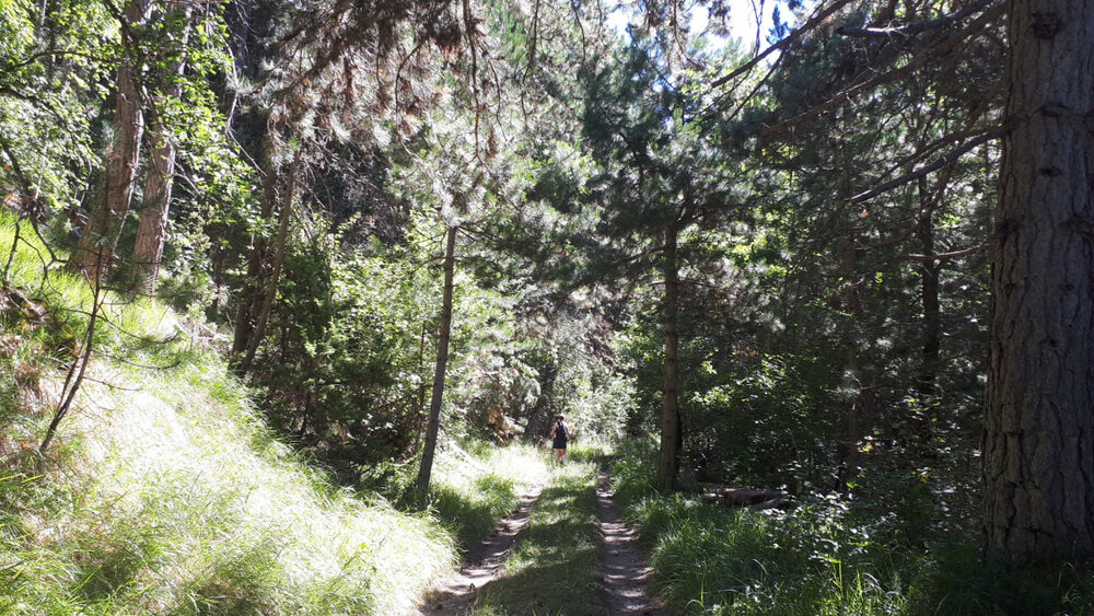 le sentier