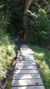 Blog2 -été 2026, Frustel-sentier-2