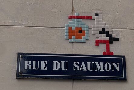 Street-Art-Dijon, street-art-DIJON  2 