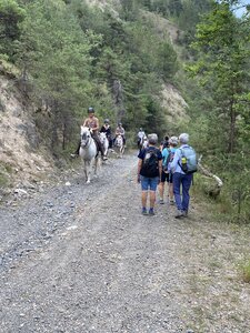Torrent de Clapouse, IMG_4453