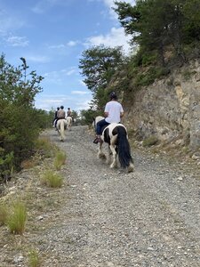 Torrent de Clapouse, IMG_4455