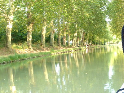 Aude 2012, Canal du midi à carcassonne