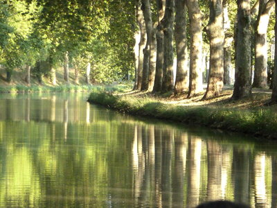 Aude 2012, Canal du midi à carcassonne