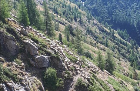 Chaillol-2026, 29-Mont&eacute;e vers l&rsquo;Alpage