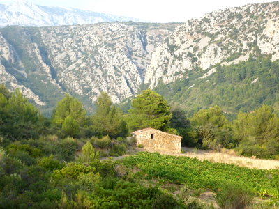 Aude 2012, Près de Tuchan