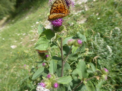 26 07 25 au 08 08 Camp d'été Le Monêtier Les Bains, P1110890
