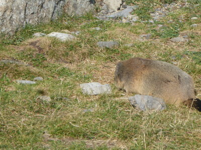 26 07 25 au 08 08 Camp d'été Le Monêtier Les Bains, P1110894