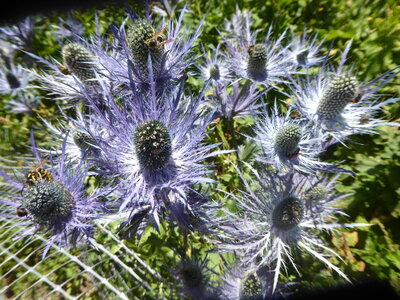 26 07 25 au 08 08 Camp d'été Le Monêtier Les Bains, P1110925