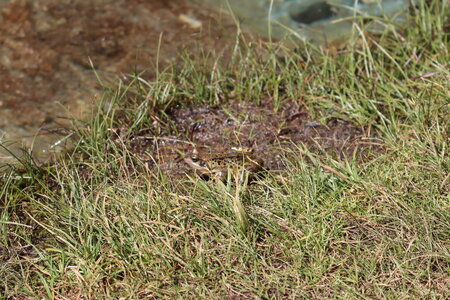 Refuge du Pigeonnier, IMG_2750